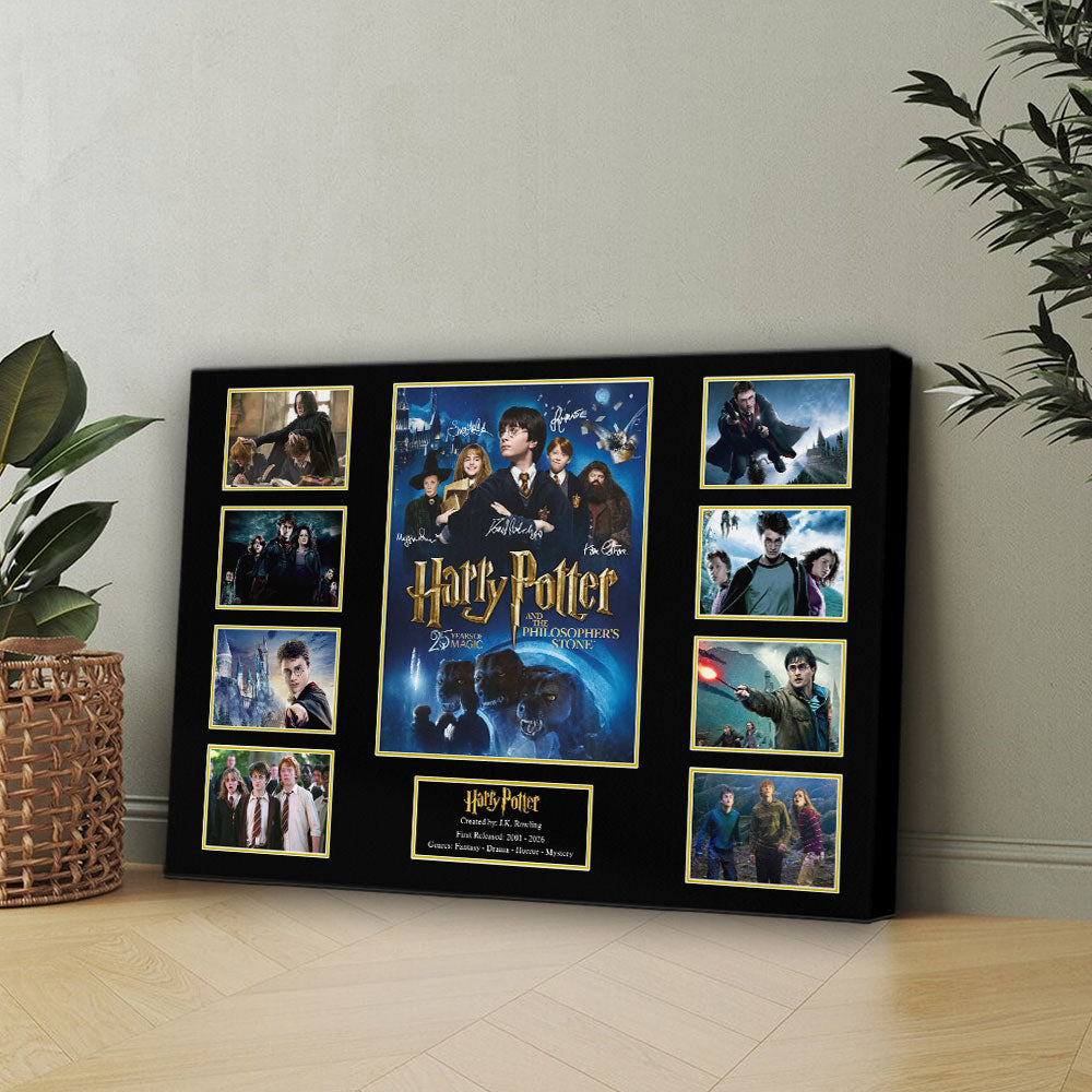 Harry Potter 25th Anniversary Rectangle Canvas With Inner Frame – HOATT15398