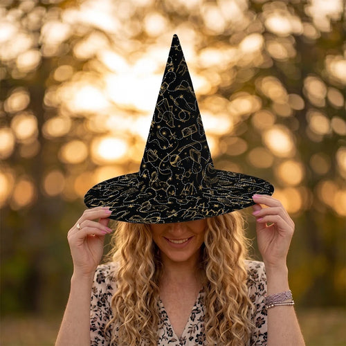 Harry Potter 25th Anniversary Quilt Witch Hat – TANTN24953