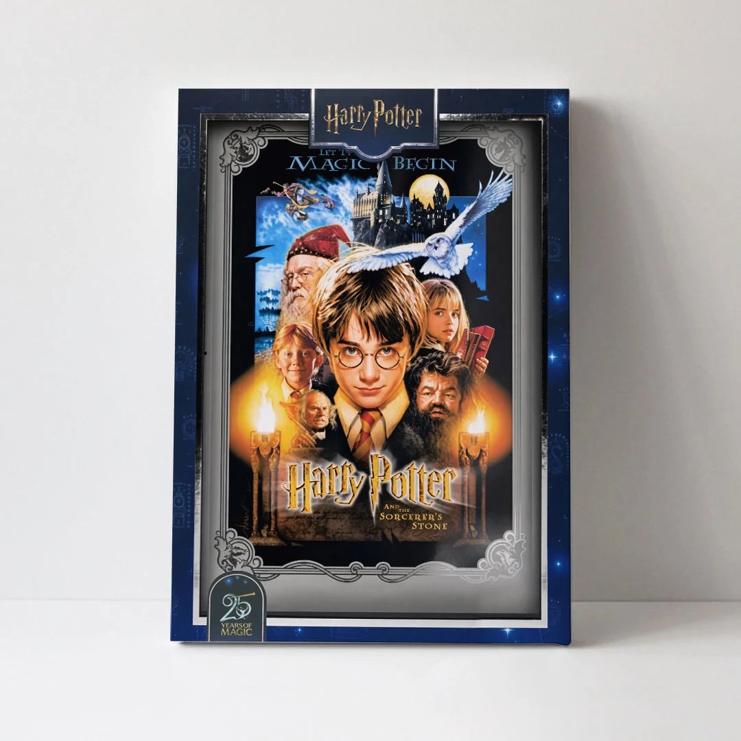 Harry Potter 25th Anniversary Rectangle Canvas With Inner Frame – TANTN24977