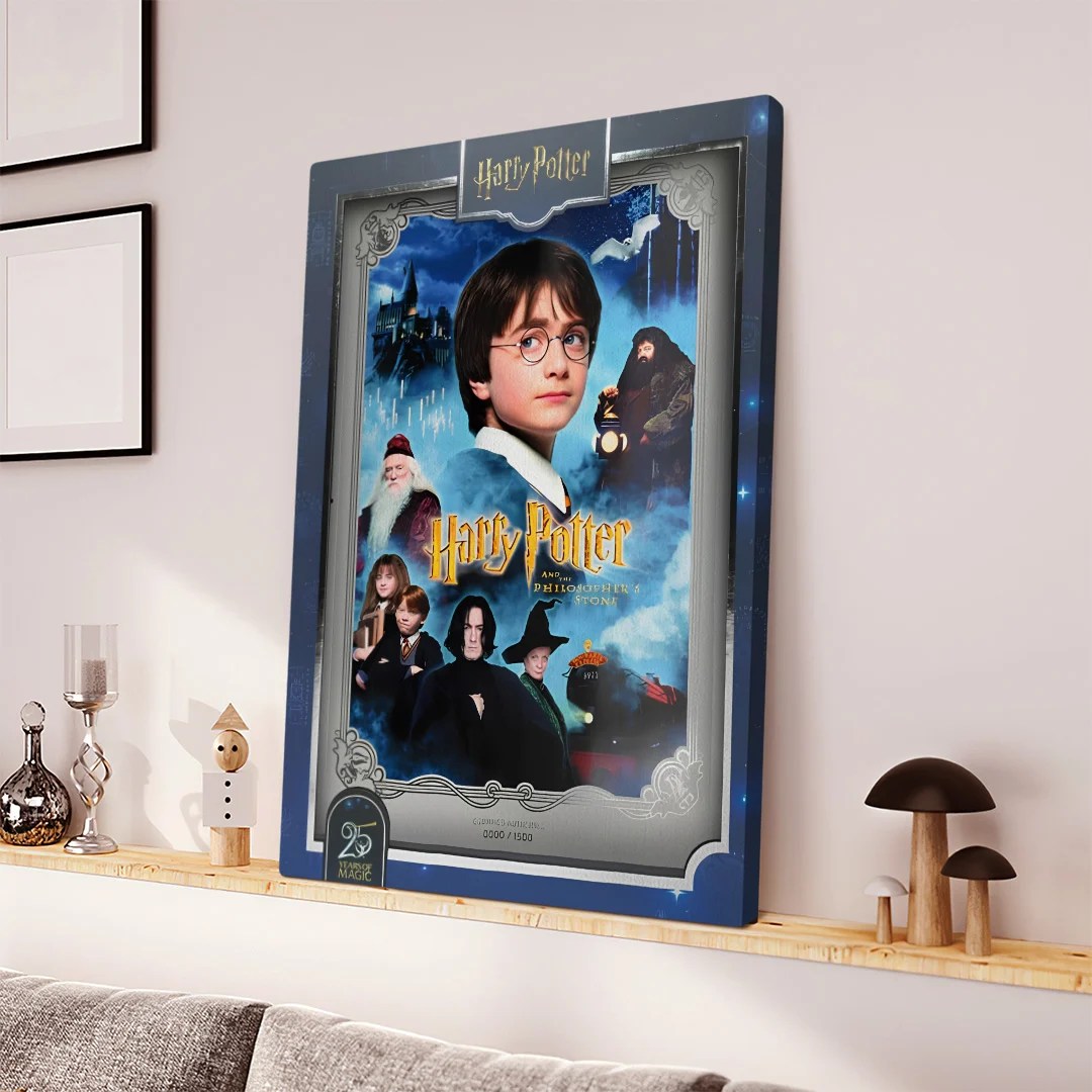 Harry Potter 25th Anniversary Rectangle Canvas With Inner Frame – TANTN24978