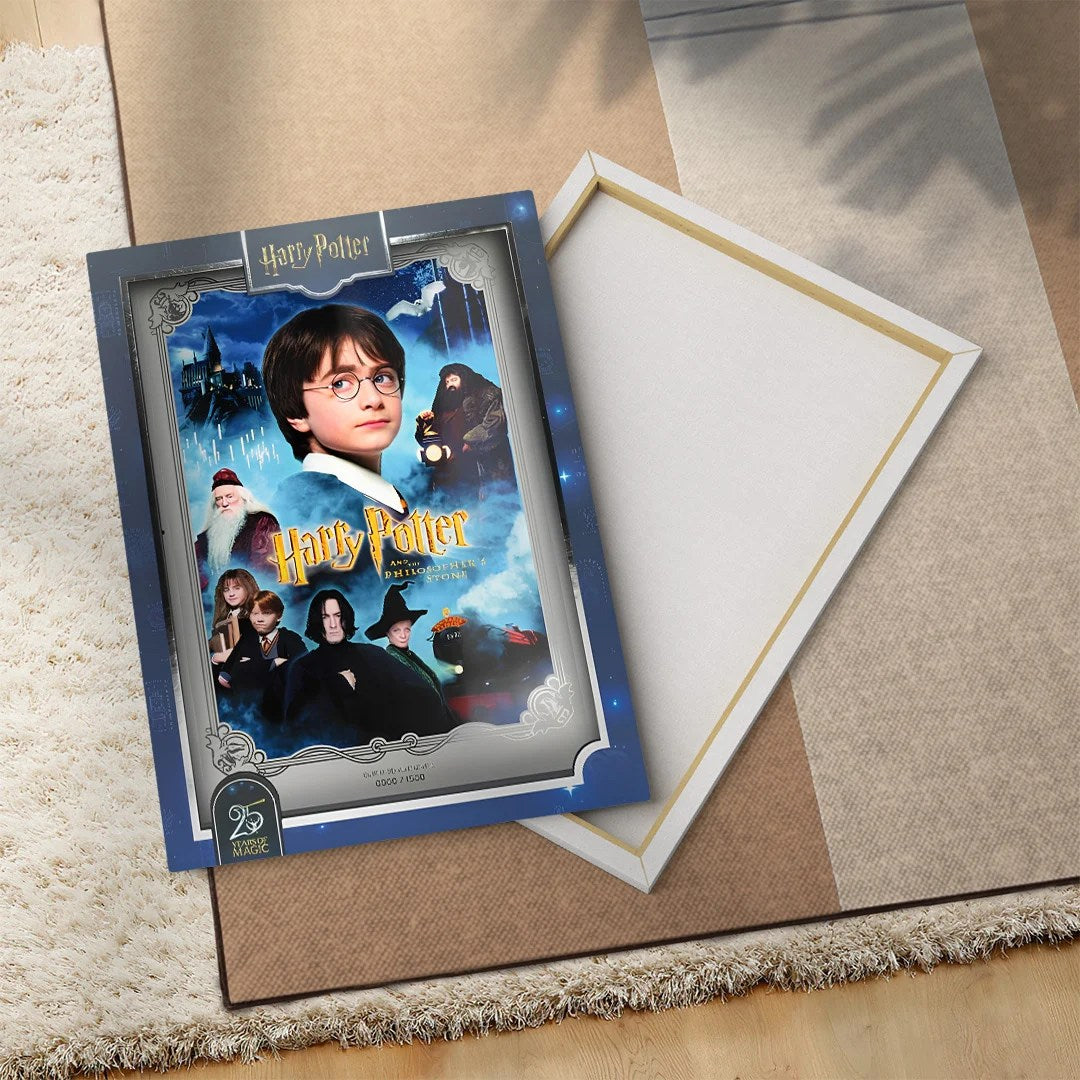 Harry Potter 25th Anniversary Rectangle Canvas With Inner Frame – TANTN24978