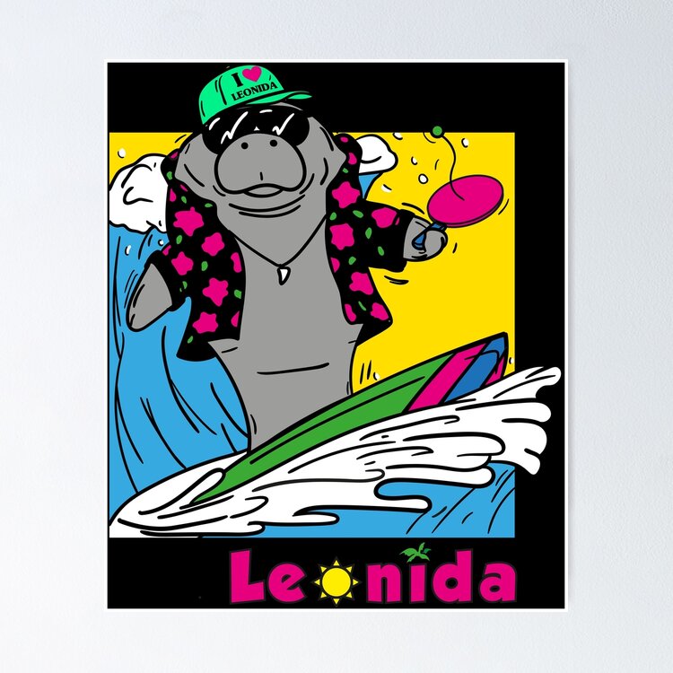 Leonida Surfer Poster