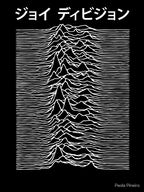 Unknown Pleasures Japan Shirt