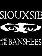 Siouxie And The Banshees Shirt