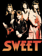 The Metal Tour 2026 Shirt