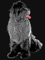 Grunge Newfie Shirt