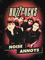 Buzzcocks Noise Annoys Shirt