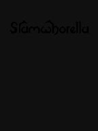 Slamwhorella Hair Metal Logo Black Font Pullover Shirt