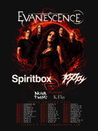 Evanescence Tour Shirt