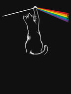 Funny Cat Rock Music Dark Side Of The Meow Cat Shirt