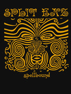 Split Enz Band Shirt