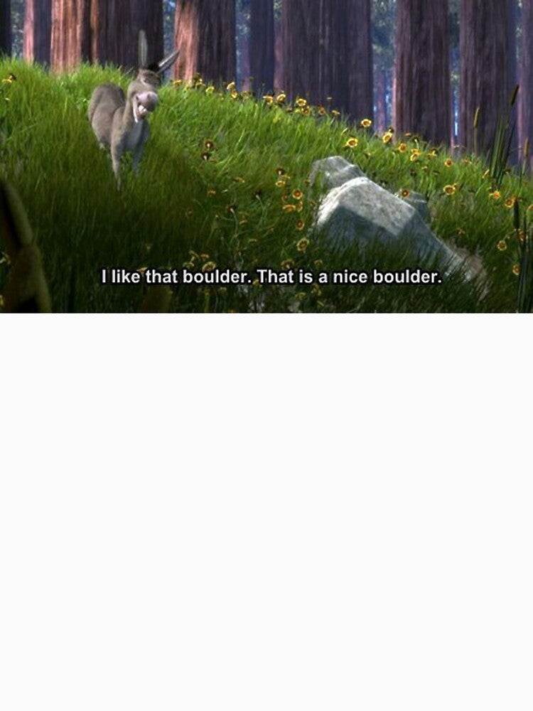 Donkey I Like That Boulder That Is A Nice Boulder Shirt