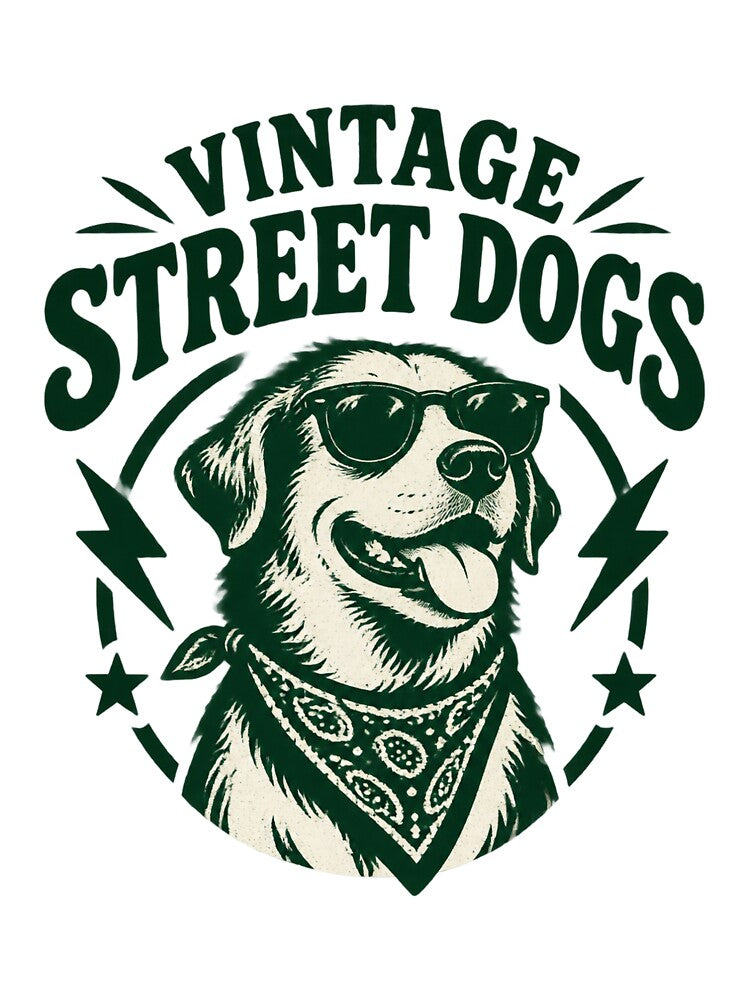 Vintage Street Dogs Band Artwork Design Shirt