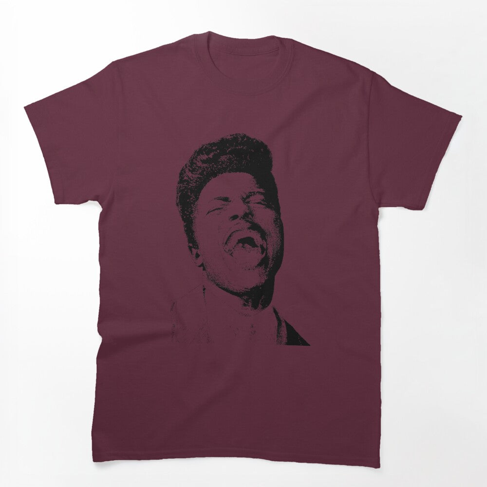 Here's Little Richard Shirt
