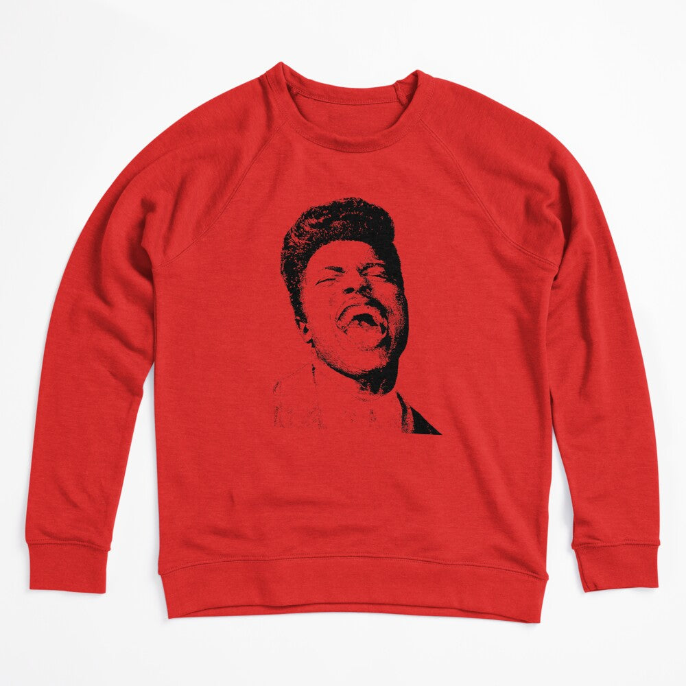Here's Little Richard Shirt